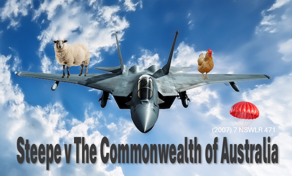  Steepe v The Commonwealth of Australia